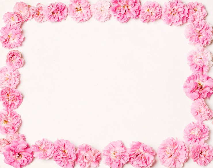 Photo gratuit ensemble de belles fleurs roses