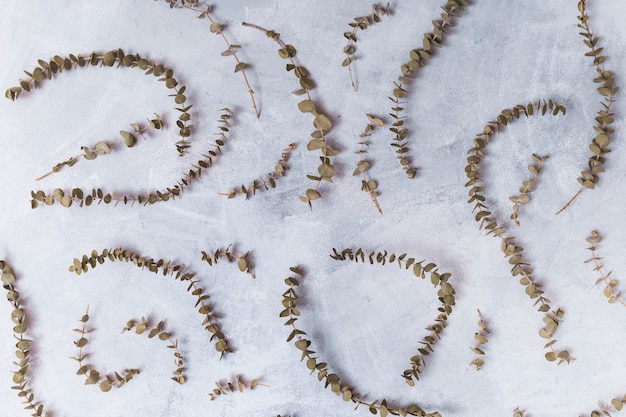 Photo gratuite ensemble de brindilles de plantes sèches