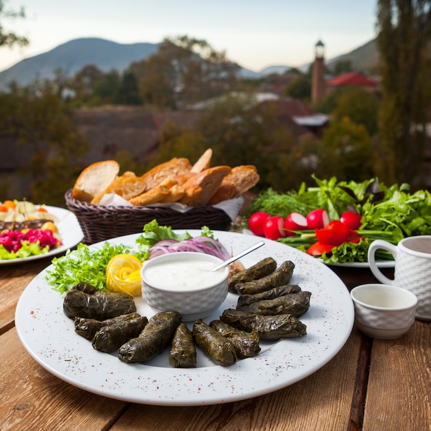 Photo gratuite ensemble de différents types de salades et de feuilles de vigne farcies sur une table avec village en arrière-plan. vue grand angle.