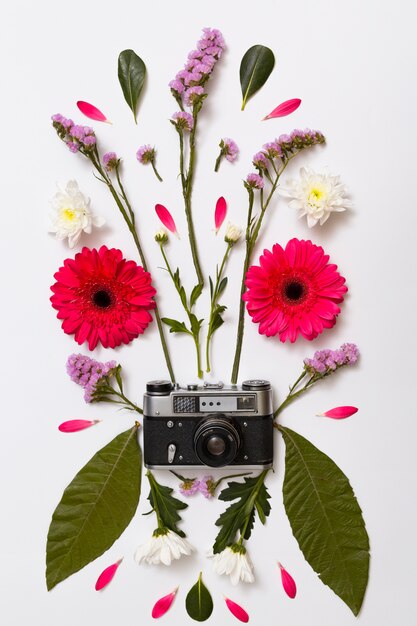 Ensemble de fleurs, feuilles et appareil photo rétro