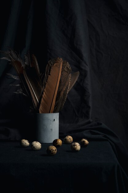 Ensemble d&#39;oeufs de caille près de plumes en boîte