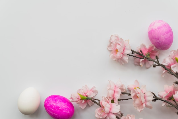 Ensemble d&#39;oeufs de Pâques et de branches de fleurs fraîches