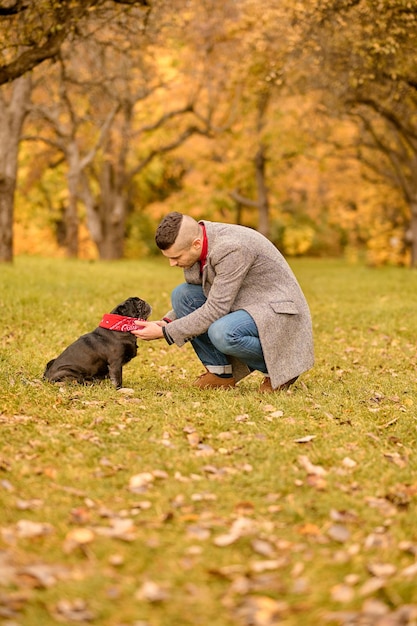 Ensemble. Un propriétaire d'animal en promenade avec son ami