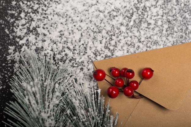 Enveloppe Kraft avec baies de cendre de montagne sur neige