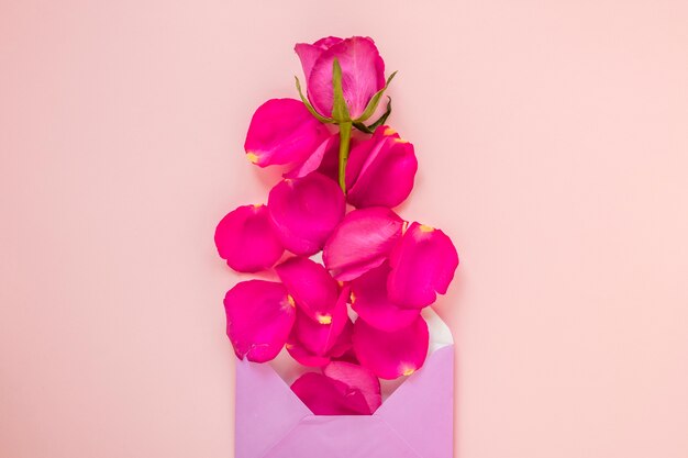 Enveloppe Saint Valentin avec rose et pétales