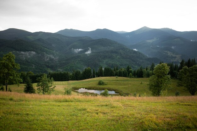 Environnement rural paisible à la lumière du jour