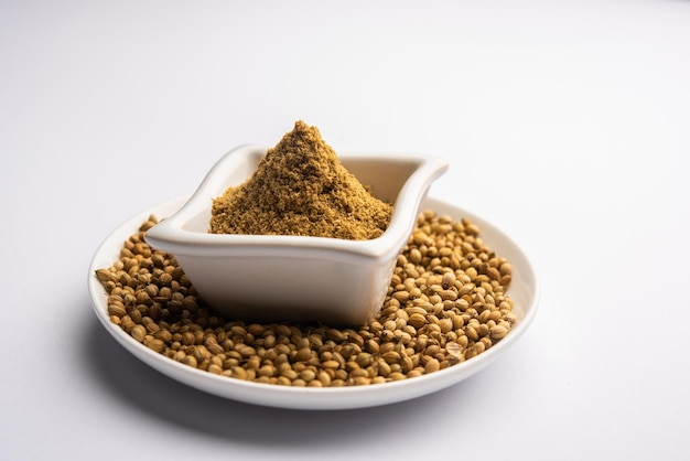 Épice indienne tas de poudre de coriandre ou poudre de dhaniya ou graines séchées de persil chinois, mise au point sélective