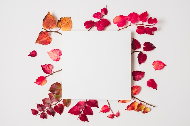 Espace copie vierge avec cadre de feuilles d&#39;automne coloré