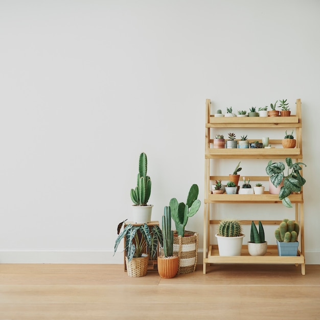 Photo gratuite Étagère à plantes en bois contre un mur blanc