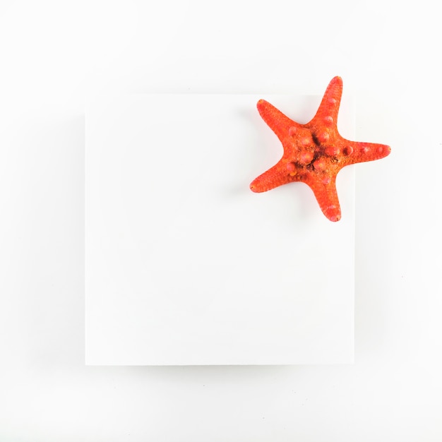 Photo gratuite Étoile de mer sur feuille de papier
