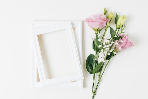 Eustoma et des fleurs d&#39;haleine près du cadre en bois sur fond blanc