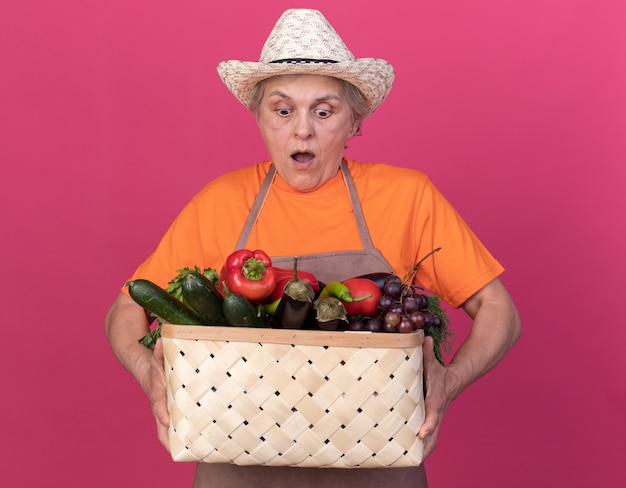 Excité femme âgée jardinier portant chapeau de jardinage tenant et regardant panier de légumes sur rose