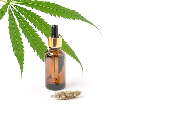 Extraits d'huile de cannabis en pots et feuilles de cannabis vertes, marijuana isolée sur fond blanc. Culture de marijuana médicale et d'herbes.