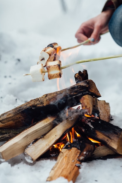 Faire griller des guimauves sur un feu de camp. Fermer