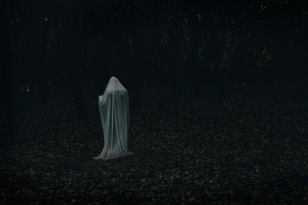 Un fantôme dans une forêt sombre