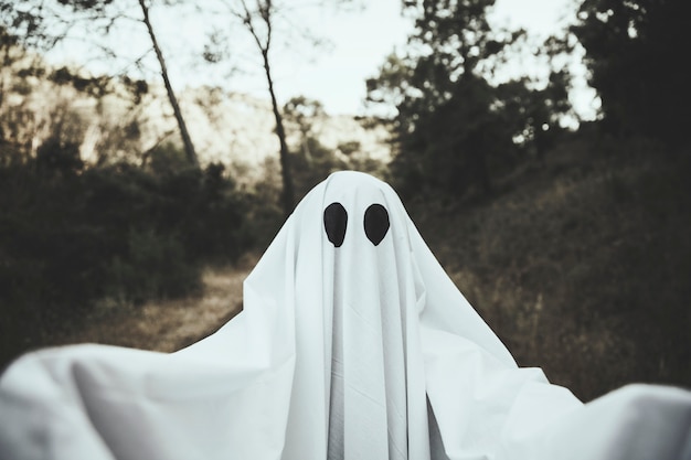 Photo gratuite fantôme sombre sur un parc sombre