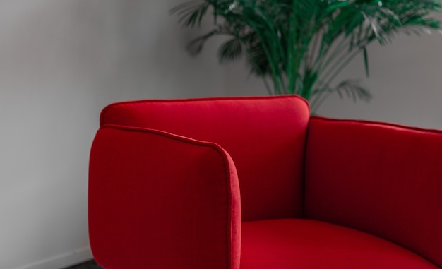 Fauteuil rouge près de plante verte