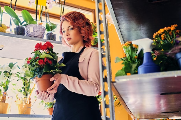 Photo gratuite la femelle rousse tient une fleur dans une gousse dans un magasin de marché.