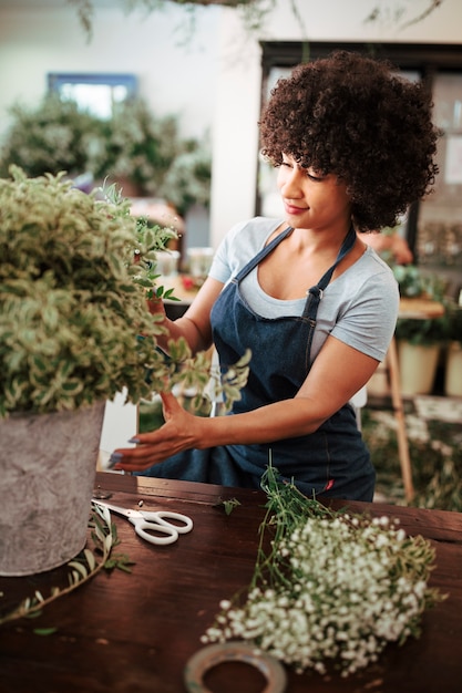 Femme africaine, prendre soin de plante dans magasin