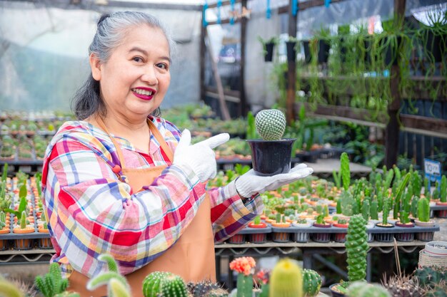 Femme âgée, regarder, intégrité, de, cactus, arbre