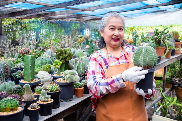 Femme âgée, regarder, intégrité, de, cactus, arbre