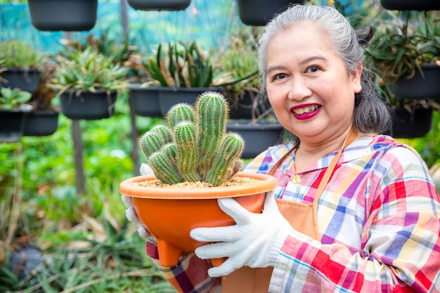 Femme âgée, regarder, intégrité, de, cactus, arbre