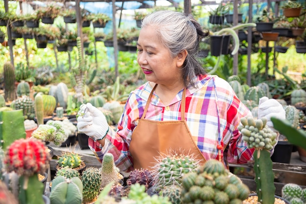 Une femme âgée utilise une pince tirant les mauvaises herbes du pot de cactus