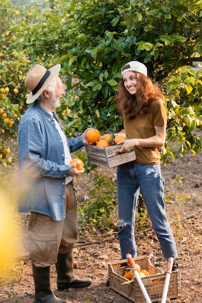 Femme aidant son père à obtenir des oranges des arbres du jardin