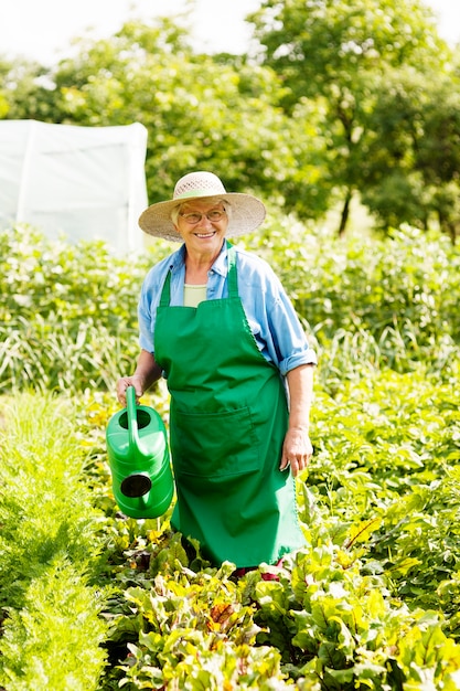 Femme aînée, arroser, a, plante