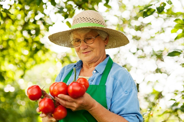 Femme aînée, tenue, tomates