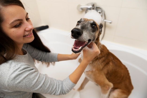 Femme à angle élevé lavant un chien