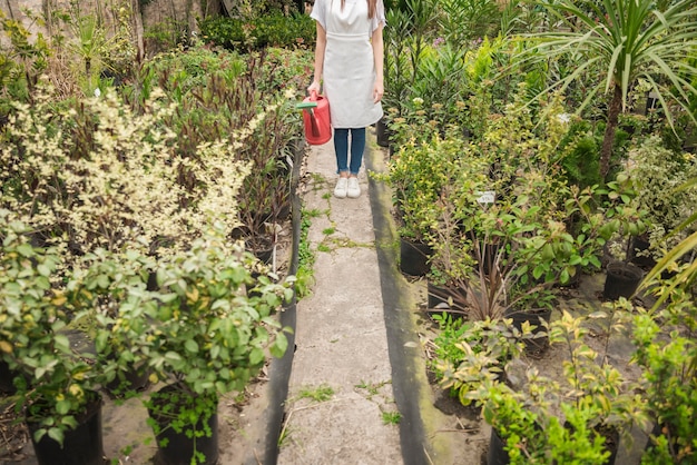 Photo gratuite femme avec arrosoir debout dans une serre entourée de diverses plantes