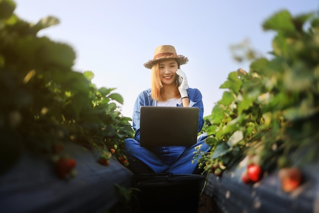 Une femme asiatique passe un appel téléphonique tout en utilisant un ordinateur portable dans le champ de fraises Une agricultrice asiatique travaille dans une ferme de fraises rouges fraîches