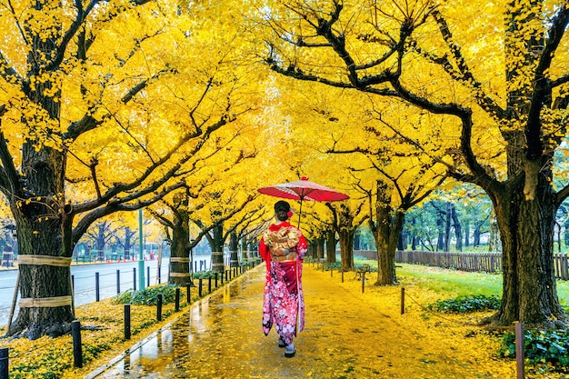 Femme asiatique portant un kimono traditionnel japonais à la rangée de ginkgo jaune en automne. Parc d'automne à Tokyo, Japon.