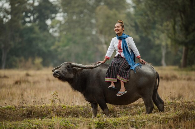 femme assise sur le dos d'un buffle dans le pré.