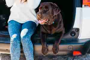 Photo gratuite femme assise avec son chien dans le coffre ouvert