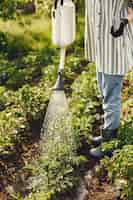 Photo gratuite femme au chapeau tenant l'entonnoir et travaille dans un jardin