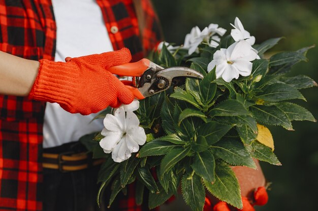 Femme en chemise rouge. Travailleur avec des pots de fleurs. Fille avec des plantes