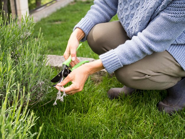 Femme coupant des plantes dans son jardin