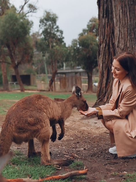 Femme dans la réserve joue avec un kangourou