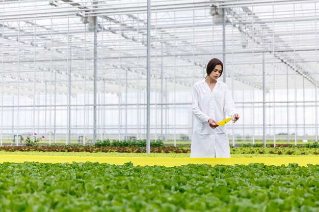 Femme dans une robe de laboratoire avec une salade verte debout dans une serre