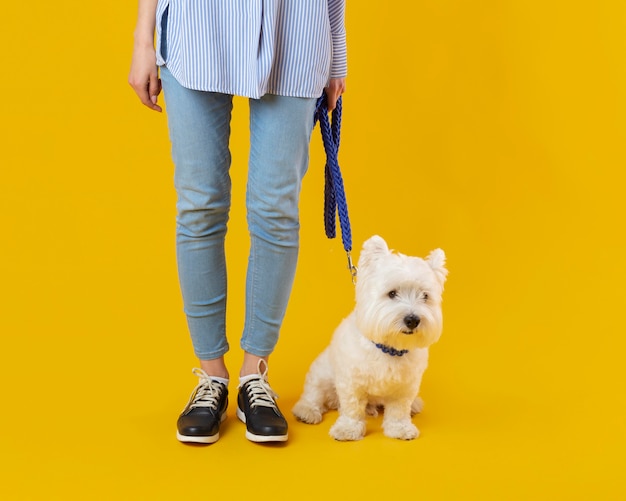 Photo gratuite femme debout à côté de son adorable chien