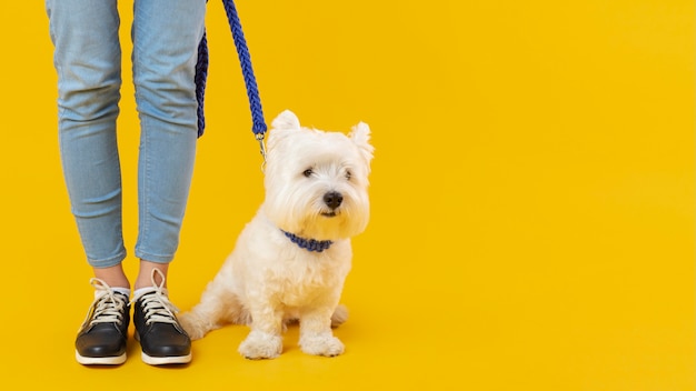 Photo gratuite femme debout à côté de son adorable chien