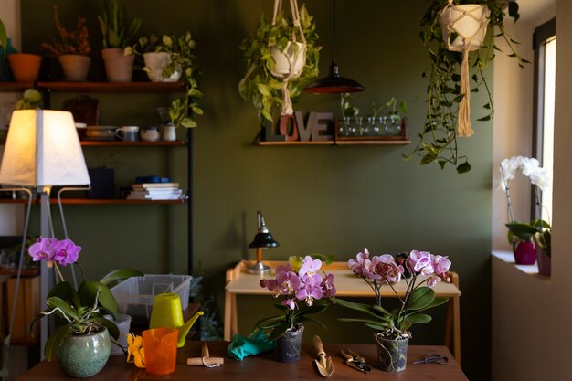 Une femme décore sa maison d'orchidées.