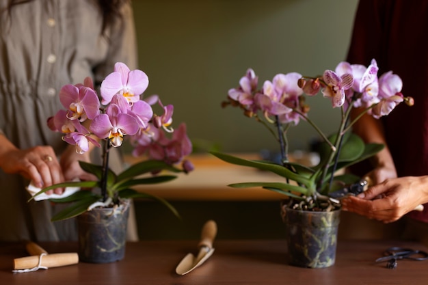 Une femme décore sa maison d'orchidées.