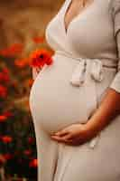 Photo gratuite femme enceinte debout parmi les champs de pavot en fleurs