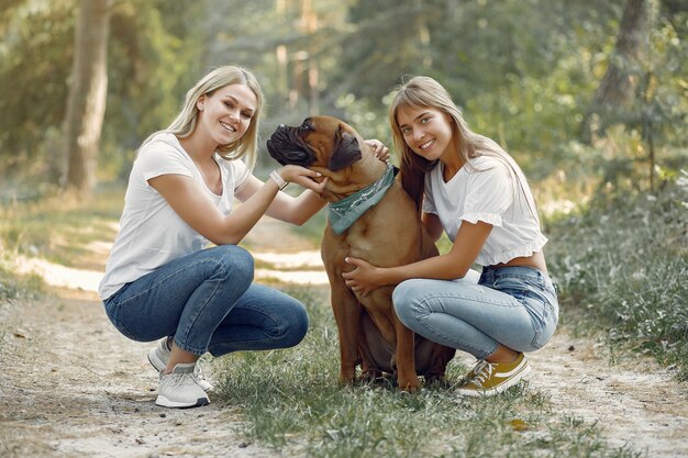 femme, été, forêt, jouer, chien