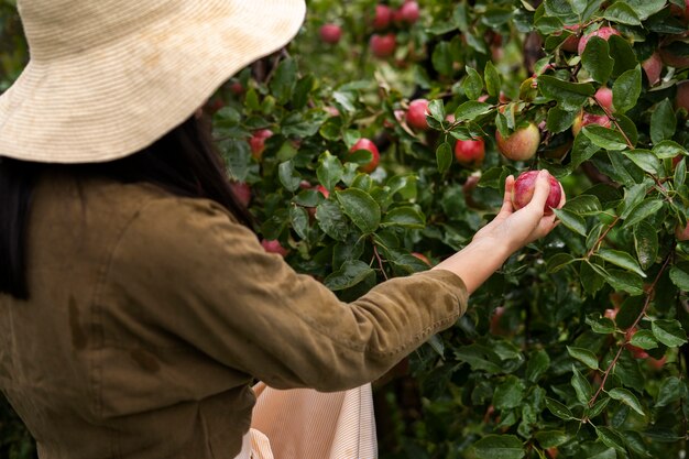 Femme grand angle tenant des fruits