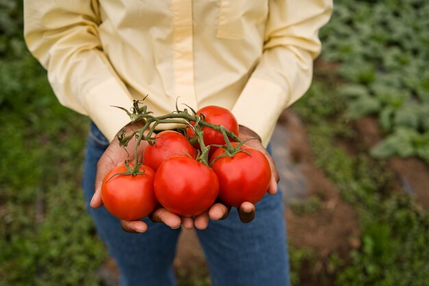 Femme grand angle tenant des tomates