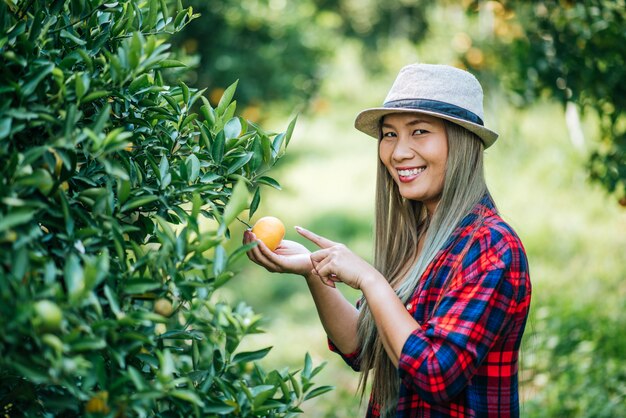 femme havesting orange plantation